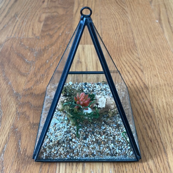 NWOT Black Metal Terrarium with rocks & mossy log - Picture 3 of 6
